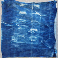 tissue-cyanotype