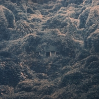 Pelahatchie. Image of house surrounded by foliage.